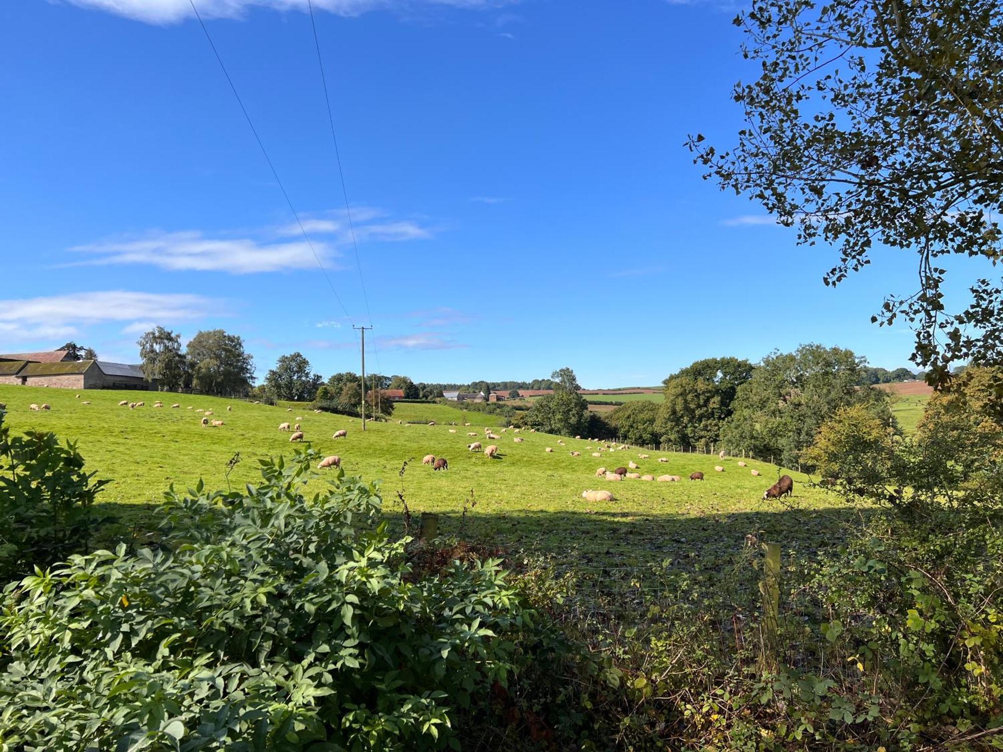Countryside Haven